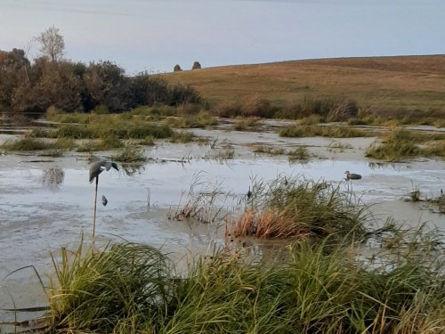 Одно из любимых болот