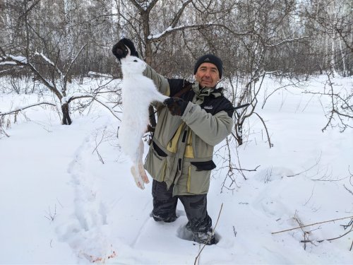 Первый зайка в новом году!))