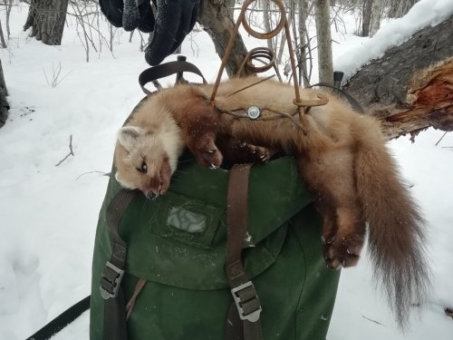 На путике