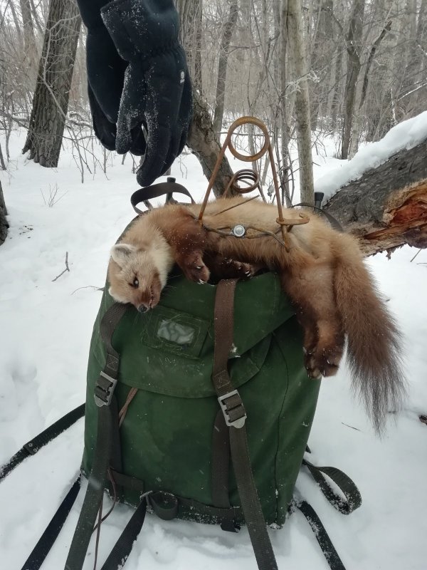 На путике