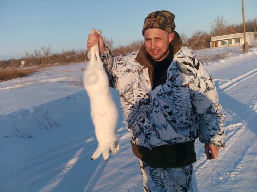 4 загон
