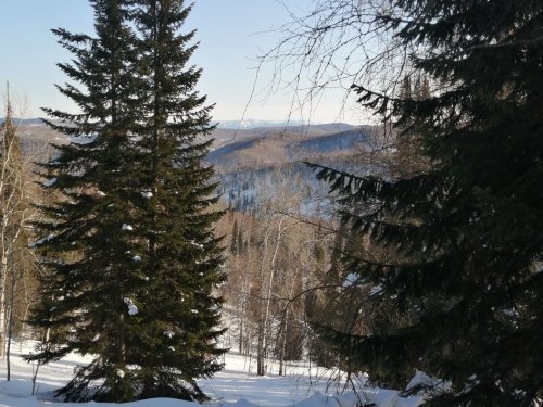 Вид с вершины на тайгу