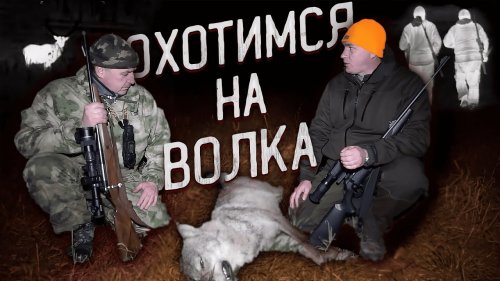ОХОТА НА ВОЛКА НА ВАБУ