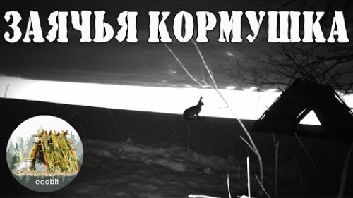 Заячья кормушка