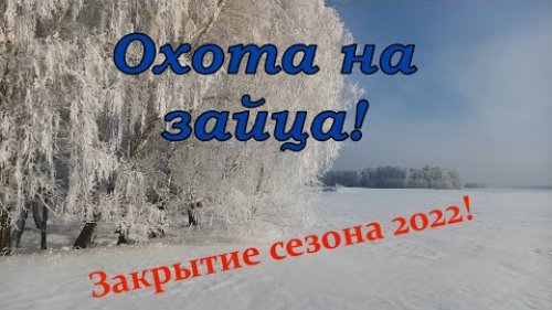 Охота на зайца! Закрытие сезона 2022!