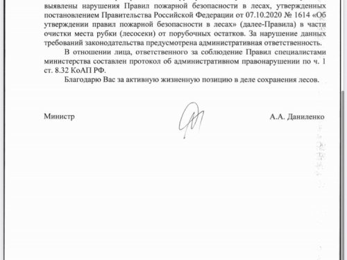 Вырубка леса в Новосибирской области