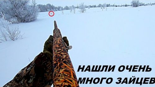 Столько зайцев мы еще не видели нигде!!! Закрытие охоты на зайца / MAX HUNTER