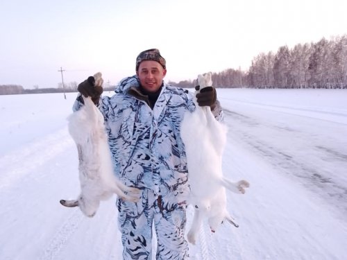 Новогодние зайцы