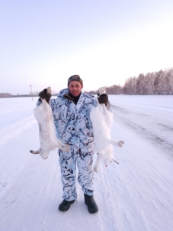 Новогодние зайцы