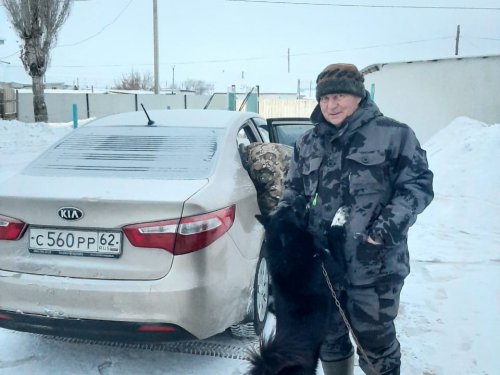 Туман остался на чужом дворе...