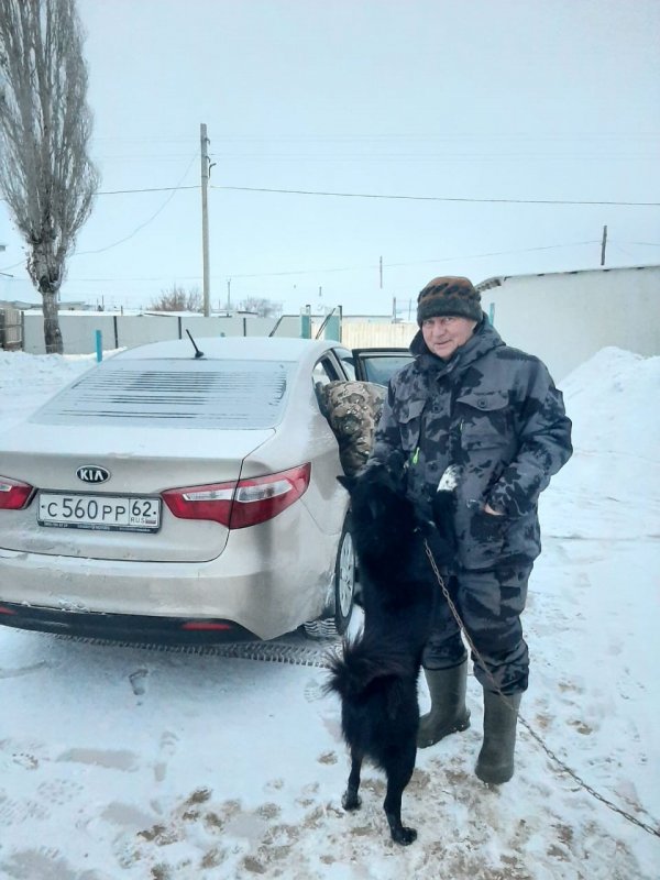 Туман остался на чужом дворе...