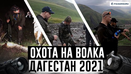 Охота на ВОЛКОВ в Дагестане, выстрел на 400 метров! Волк взят. Часть вторая.