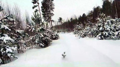 Охота на лунках в канун Нового 2022 года