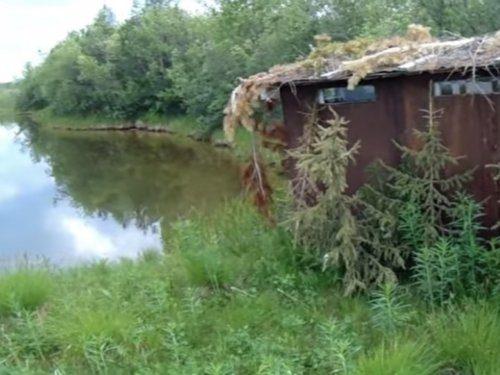 В краю непуганых топтыгиных.