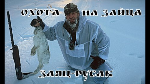 Трудовая охота на зайца. Охота на "профессора" .МЦ 21-12