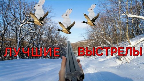 Бью утку В ГЛАЗ. Топ 19 выстрелов на охоте 2021-2022. BEST HUNTING KILL SHOTS.