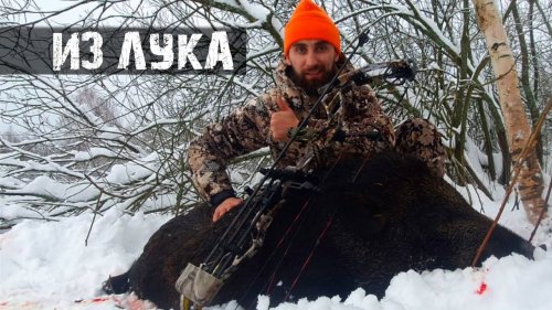 Охота на Кабана из лука