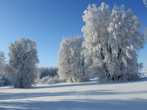Базотовские патроны.