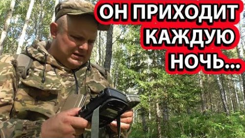 Кадры с фотоловушки НОВЫЙ СОЛОНЕЦ август 2021