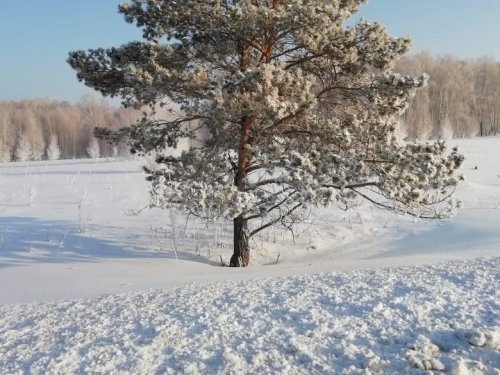Скоро весна)))