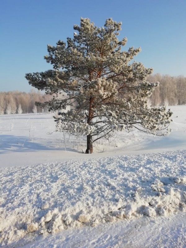 Скоро весна)))