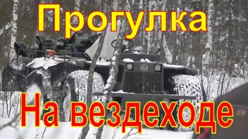 Прогулка за бобрами, рыбалка на болотном озере
