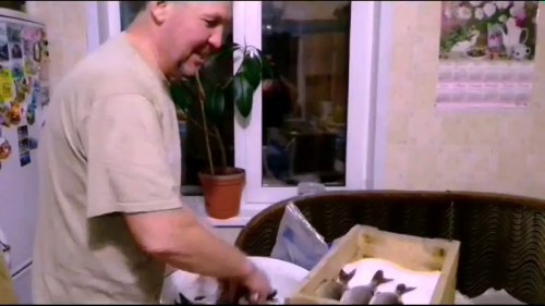 Сухой посол