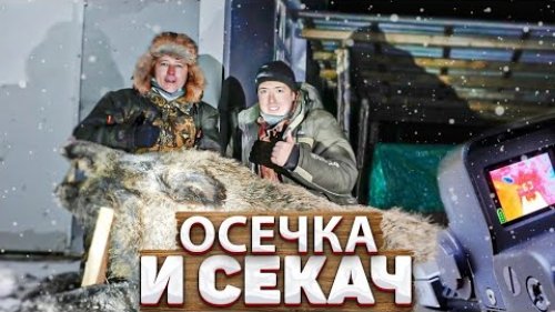 Вышел Секач. Охота на кабана