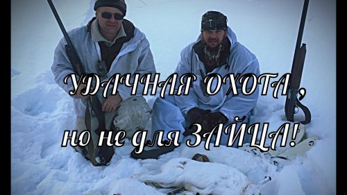 УДАЧНАЯ ОХОТА на ЗАЙЦА в январе 2022 года!