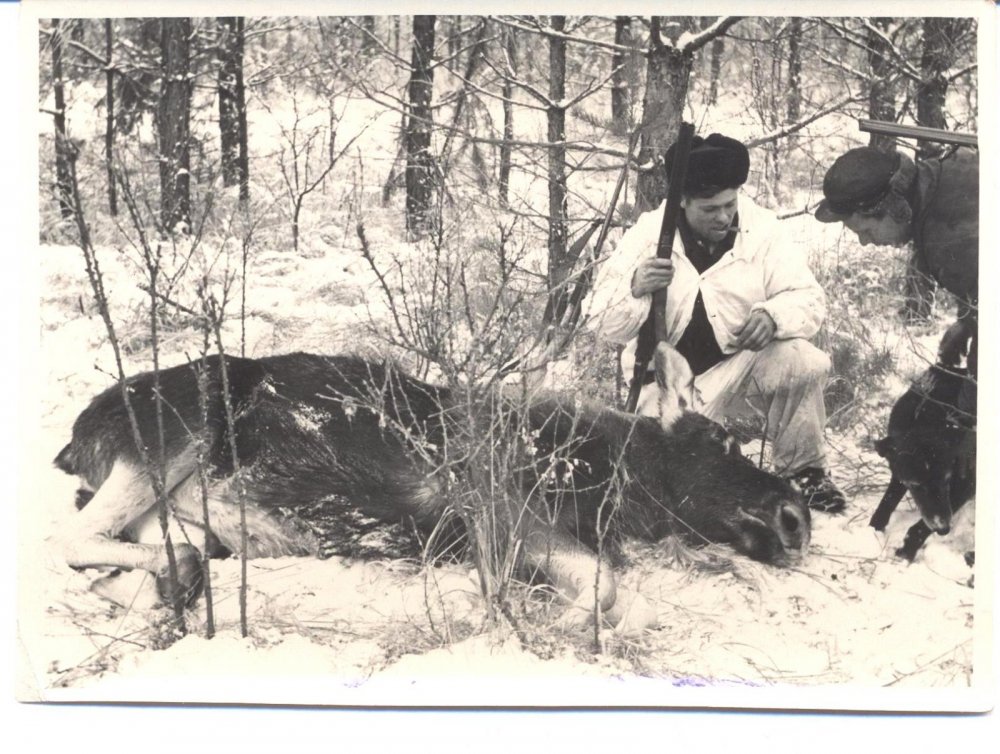 1962г