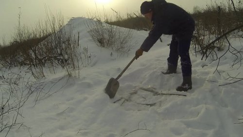Проверка капканов на бобра зимой. Hunting beaver traps.