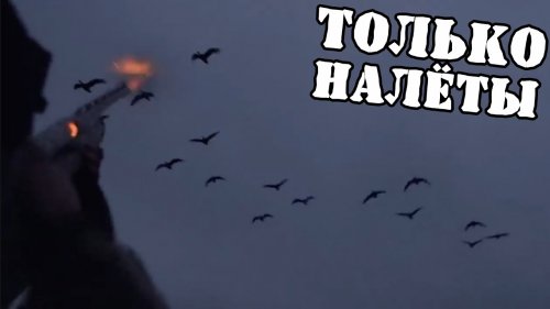 Лучшие налёты за сезоны Охота на гуся