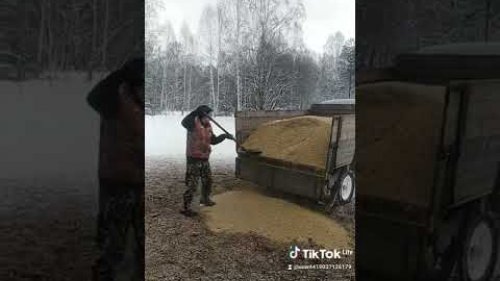 1 февраля 2022 г.