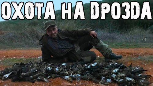 Охота на Кипре/Тюрьма или 40т евро штраф/