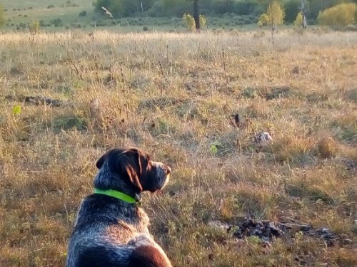 Вечер в Хакасии.