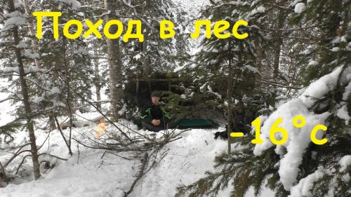 Поход в зимний лес.