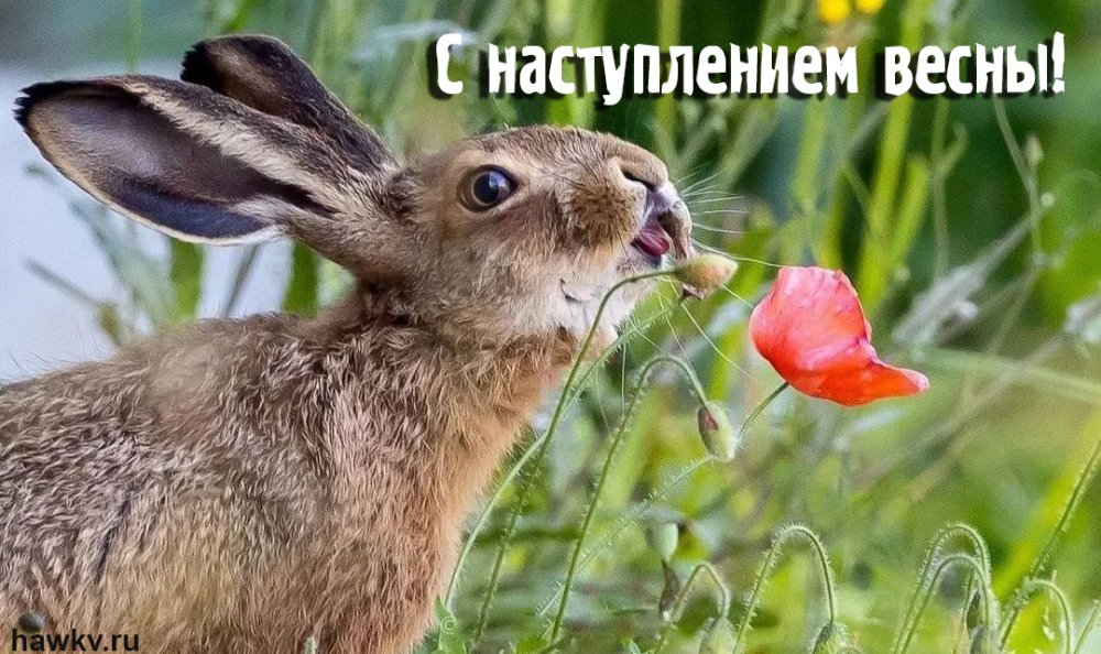 Весна неизбежна!