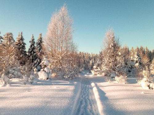полдень