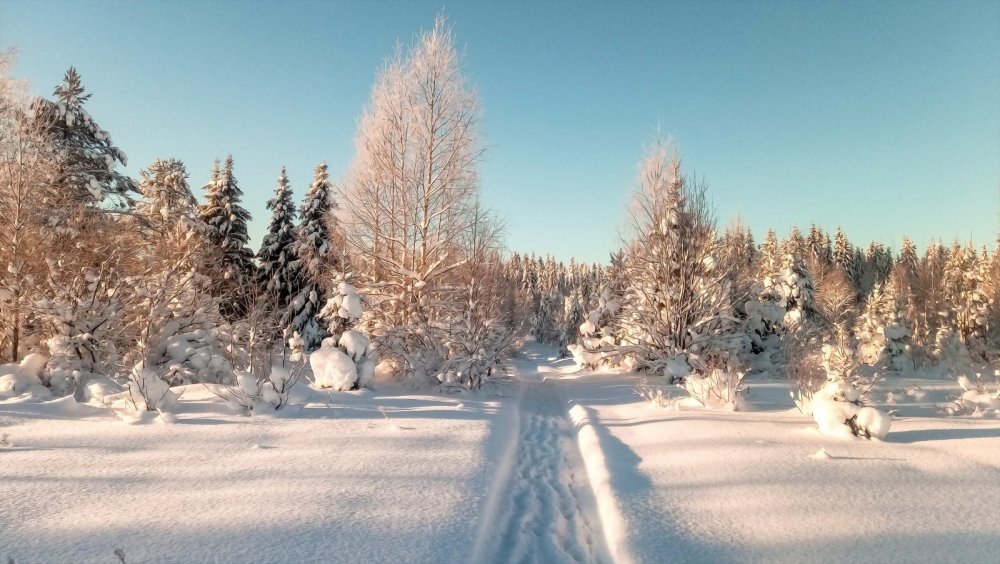 полдень