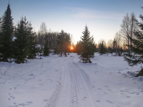 следы