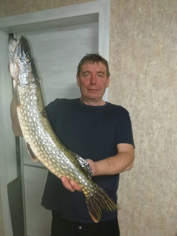 Забава в межсезонье)))