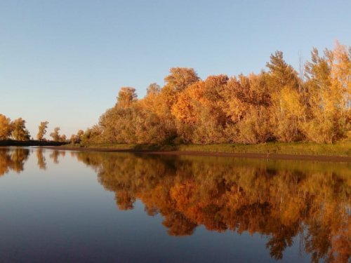 Золотая осень