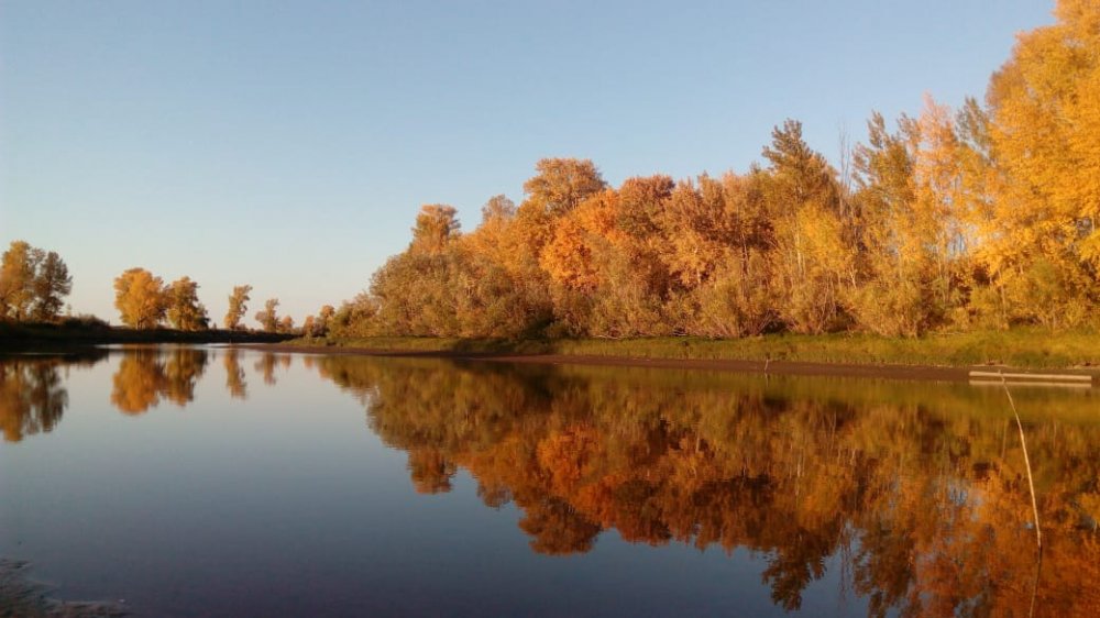 Золотая осень