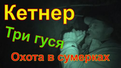 Охота на селезня и гуся #12.2 Чемпион&Кетнер Вторая часть