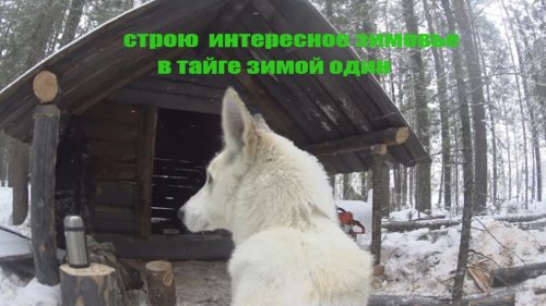 Майн Крафт в тайге на промысле