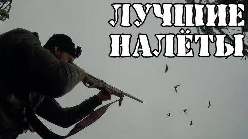 Нарезка лучших гусиных налетов, только выстрелы /часть 2/