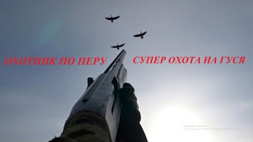 Охота на гуся 2022 "Трофеи, день 2"