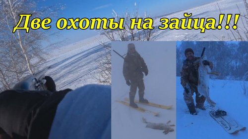 Две охоты на зайца в одном ролике