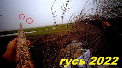 ГУСЬ ПОШЁЛ!!! ДОБЫЛ ОКОЛЬЦОВАННОГО ГУСЯ!!! ОХОТА НА ГУСЯ 2022. Розыгрыш Фонаря FENIX / MAX HUNTER