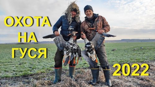 Охота НА ГУСЯ. Отличное открытие сезона 2022, часть-1.